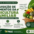 Imagem Destacada